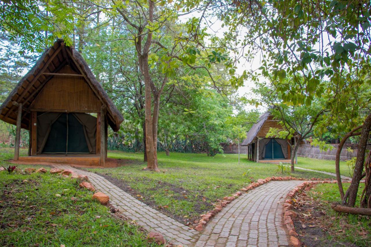 הוילה לוסקה Pioneer Camp מראה חיצוני תמונה