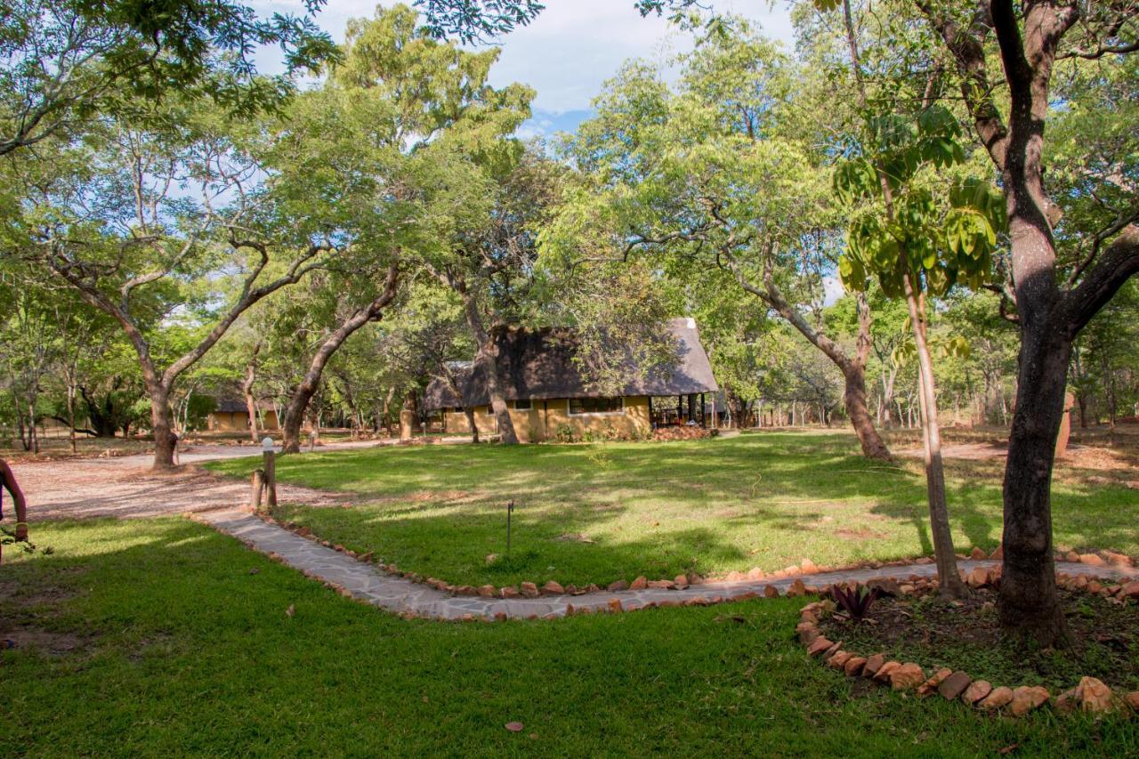 הוילה לוסקה Pioneer Camp מראה חיצוני תמונה